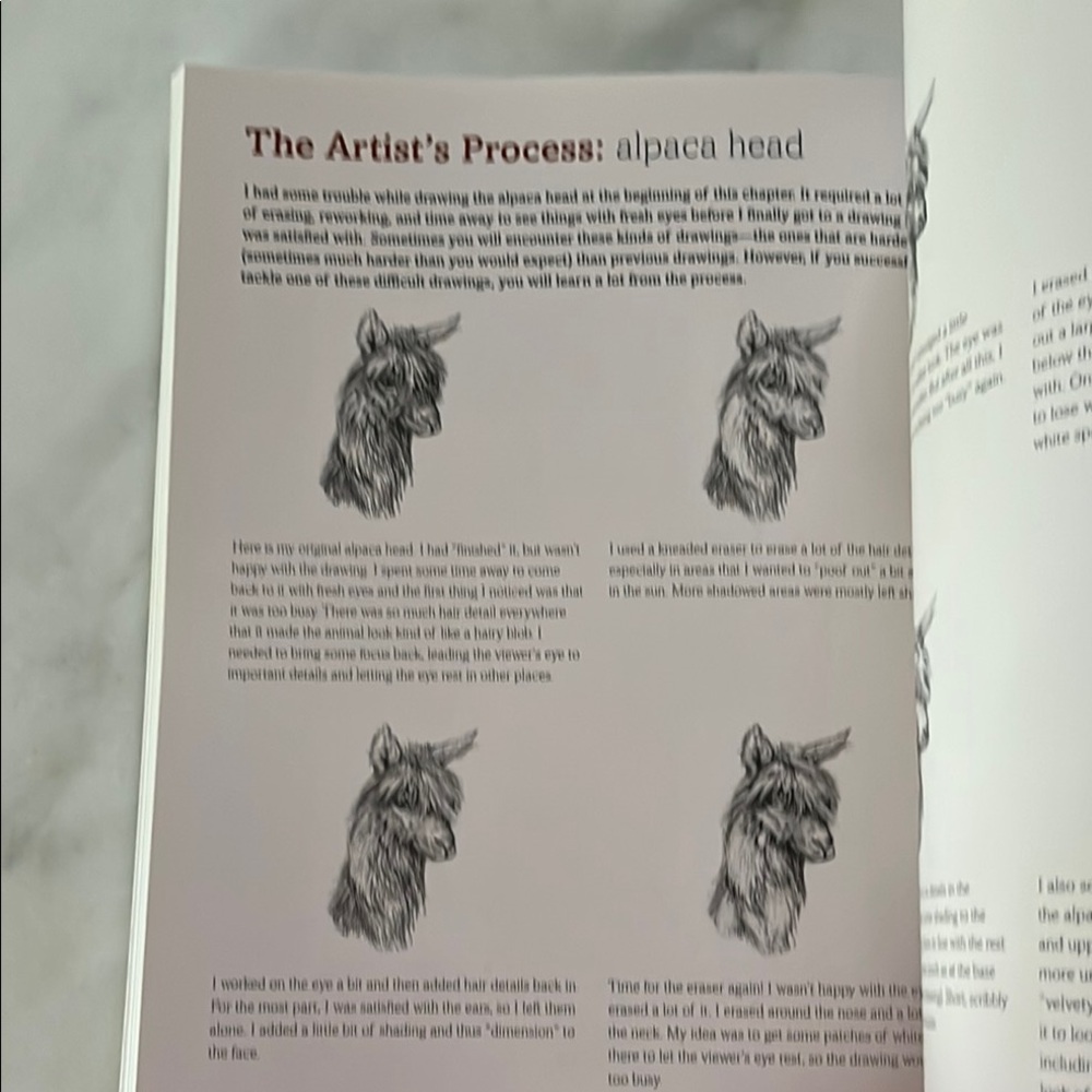 The Artist's Guide to Drawing Animals by J. C. Amberlyn - Picture 15 of 16